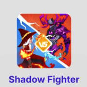 Shadow Fighter